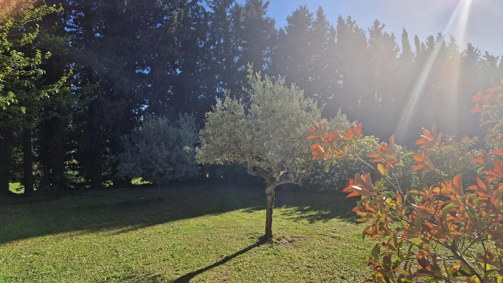 Le Mazet De Lois Villa Carpentras